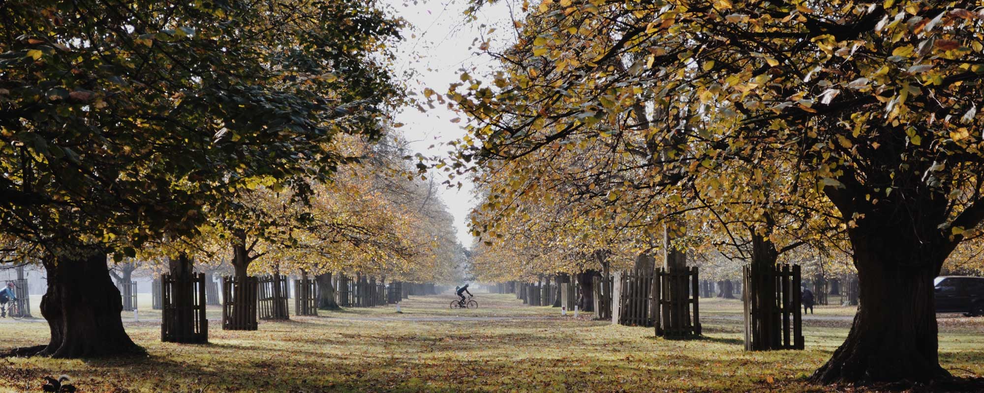Image of Teddington Royal Park, Middlesex